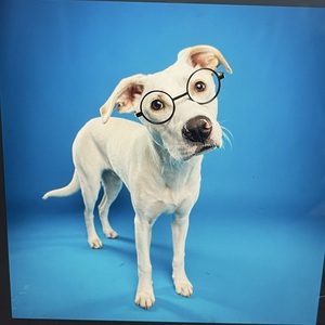 Fundraising Page: Maura Varley